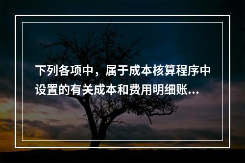 下列各项中，属于成本核算程序中设置的有关成本和费用明细账的有