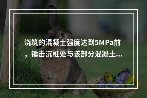 浇筑的混凝土强度达到5MPa前，锤击沉桩处与该部分混凝土之间