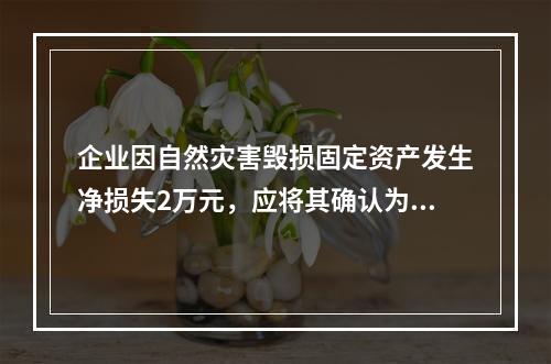 企业因自然灾害毁损固定资产发生净损失2万元，应将其确认为费用