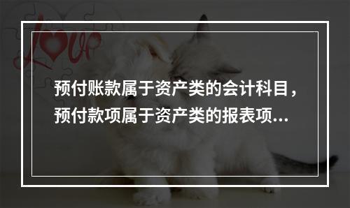 预付账款属于资产类的会计科目，预付款项属于资产类的报表项目。