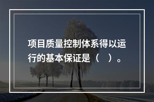 项目质量控制体系得以运行的基本保证是（　）。