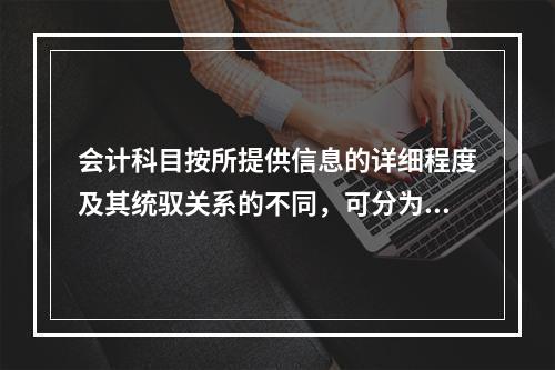 会计科目按所提供信息的详细程度及其统驭关系的不同，可分为（