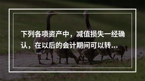 下列各项资产中，减值损失一经确认，在以后的会计期间可以转回的