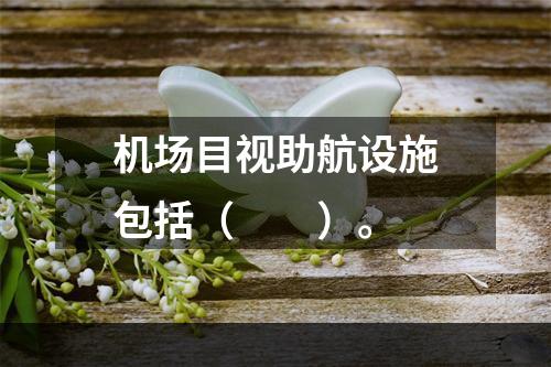 机场目视助航设施包括（　　）。