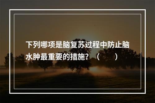 下列哪项是脑复苏过程中防止脑水肿最重要的措施？（　　）