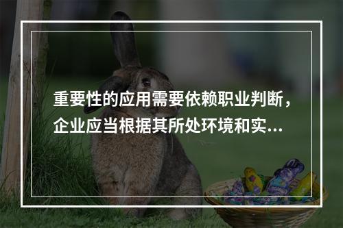 重要性的应用需要依赖职业判断，企业应当根据其所处环境和实际情