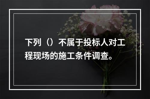 下列（）不属于投标人对工程现场的施工条件调查。