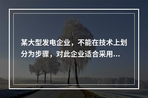 某大型发电企业，不能在技术上划分为步骤，对此企业适合采用的成