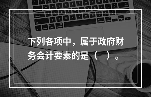 下列各项中，属于政府财务会计要素的是（　）。