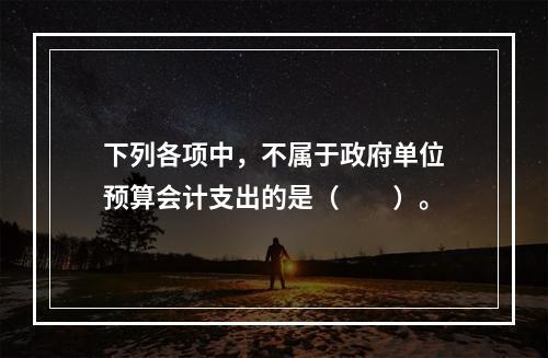 下列各项中，不属于政府单位预算会计支出的是（　　）。