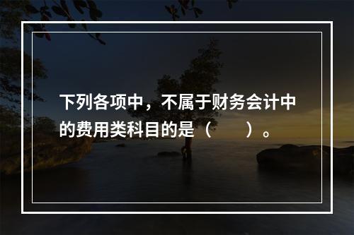 下列各项中，不属于财务会计中的费用类科目的是（　　）。