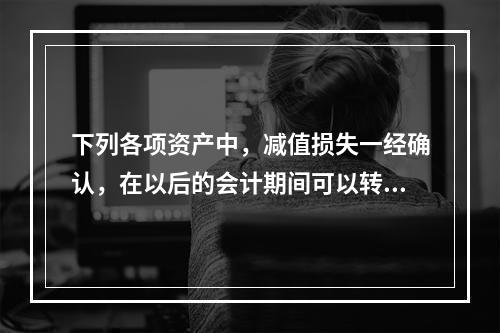 下列各项资产中，减值损失一经确认，在以后的会计期间可以转回的