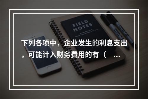 下列各项中，企业发生的利息支出，可能计入财务费用的有（　）。