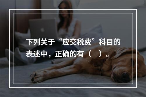 下列关于“应交税费”科目的表述中，正确的有（　）。