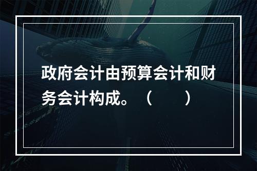 政府会计由预算会计和财务会计构成。（　　）