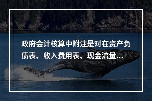 政府会计核算中附注是对在资产负债表、收入费用表、现金流量表等