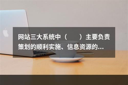 网站三大系统中（　　）主要负责策划的顺利实施、信息资源的整合