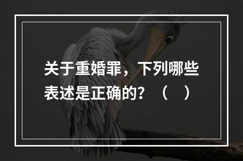 关于重婚罪，下列哪些表述是正确的？（　）