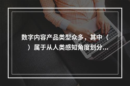 数字内容产品类型众多，其中（　　）属于从人类感知角度划分。