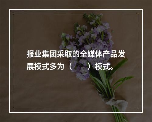 报业集团采取的全媒体产品发展模式多为（　　）模式。