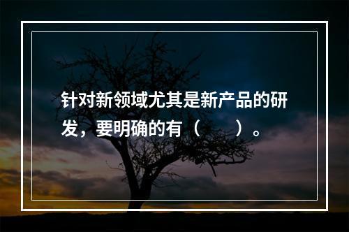 针对新领域尤其是新产品的研发，要明确的有（　　）。