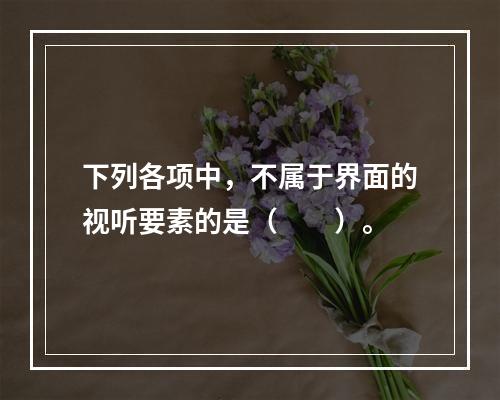 下列各项中，不属于界面的视听要素的是（　　）。