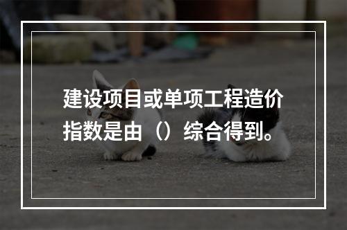 建设项目或单项工程造价指数是由（）综合得到。