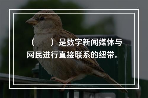 （　　）是数字新闻媒体与网民进行直接联系的纽带。