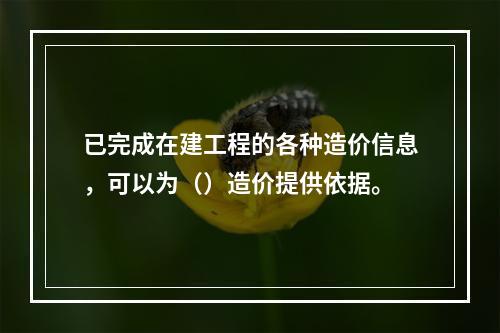 已完成在建工程的各种造价信息，可以为（）造价提供依据。