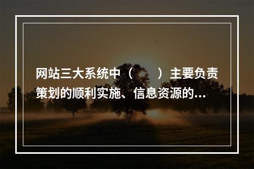 网站三大系统中（　　）主要负责策划的顺利实施、信息资源的整合