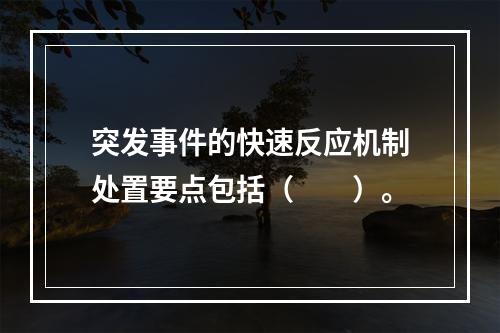 突发事件的快速反应机制处置要点包括（　　）。