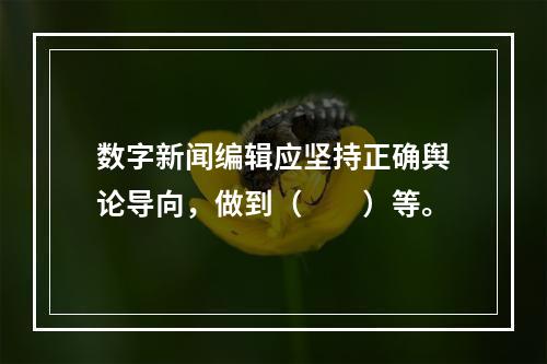 数字新闻编辑应坚持正确舆论导向，做到（　　）等。