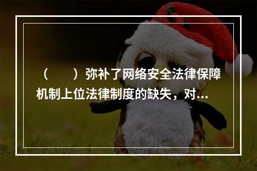 （　　）弥补了网络安全法律保障机制上位法律制度的缺失，对下位