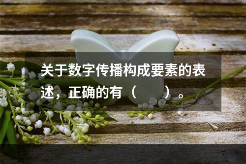 关于数字传播构成要素的表述，正确的有（　　）。