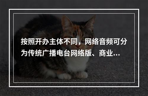 按照开办主体不同，网络音频可分为传统广播电台网络版、商业网络