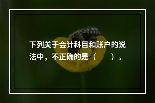 下列关于会计科目和账户的说法中，不正确的是（　　）。