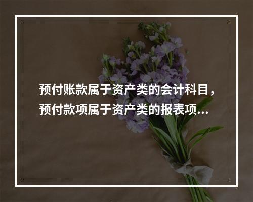 预付账款属于资产类的会计科目，预付款项属于资产类的报表项目。