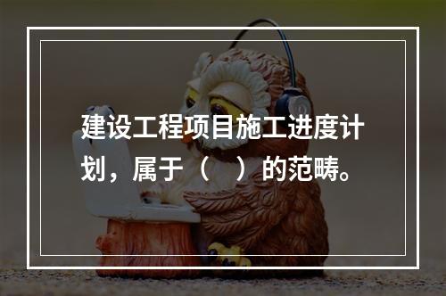 建设工程项目施工进度计划，属于（　）的范畴。