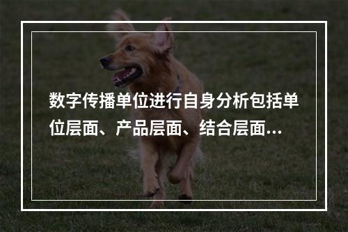 数字传播单位进行自身分析包括单位层面、产品层面、结合层面和优