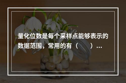 量化位数是每个采样点能够表示的数据范围，常用的有（　　）。