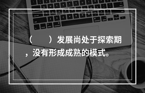 （　　）发展尚处于探索期，没有形成成熟的模式。