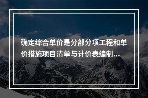 确定综合单价是分部分项工程和单价措施项目清单与计价表编制过程