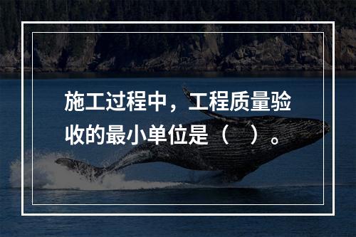 施工过程中，工程质量验收的最小单位是（　）。