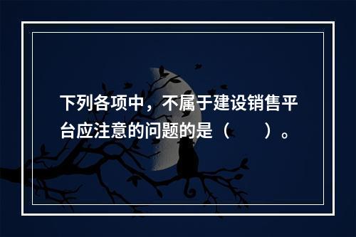 下列各项中，不属于建设销售平台应注意的问题的是（　　）。