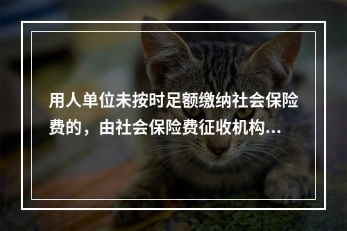 用人单位未按时足额缴纳社会保险费的，由社会保险费征收机构责令