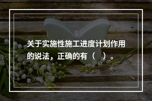 关于实施性施工进度计划作用的说法，正确的有（　）。