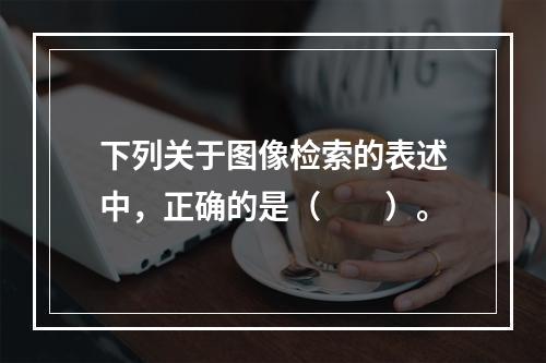 下列关于图像检索的表述中，正确的是（　　）。