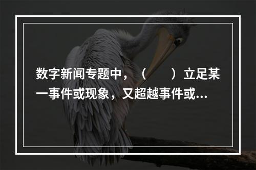 数字新闻专题中，（　　）立足某一事件或现象，又超越事件或现象