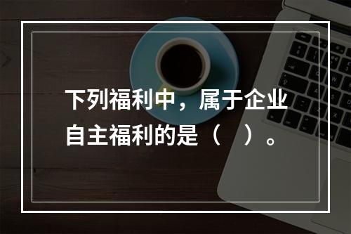 下列福利中，属于企业自主福利的是（　）。