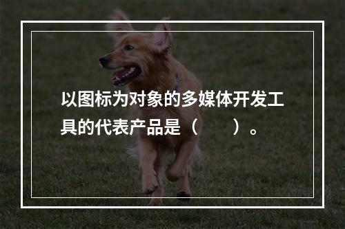 以图标为对象的多媒体开发工具的代表产品是（　　）。